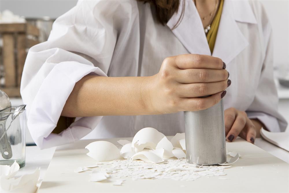 Elaine Yan Ling Ng Eggshell Brand蛋殼牆磚_04