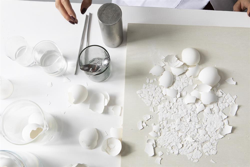 Elaine Yan Ling Ng Eggshell Brand蛋殼牆磚_02