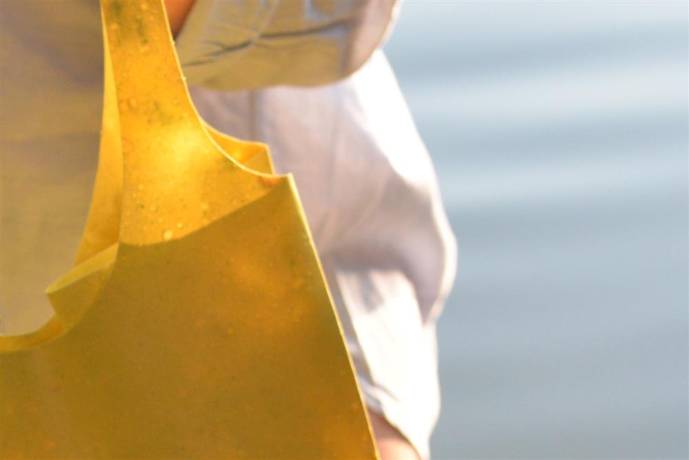 水果皮製成的環保手提袋Sonnet155_08