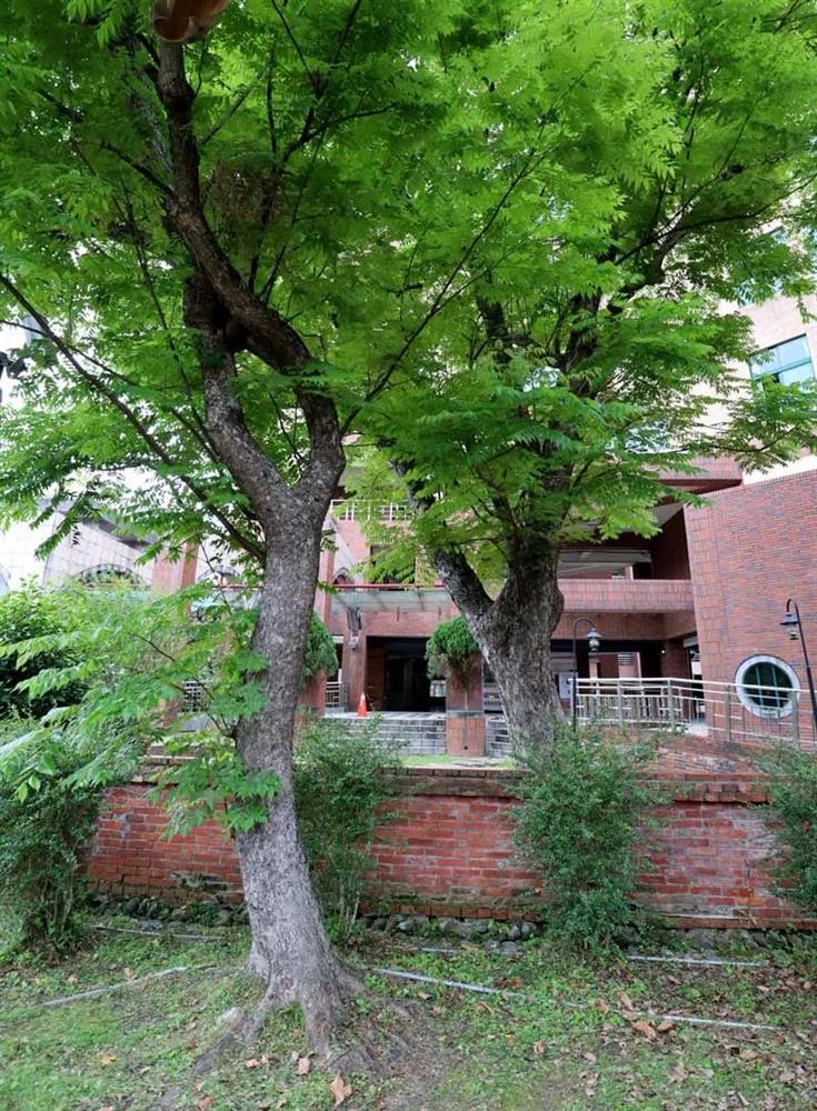 台北龍安國小裡的民宅古蹟！唯一保存於校園內黃宅濂讓居傳奇