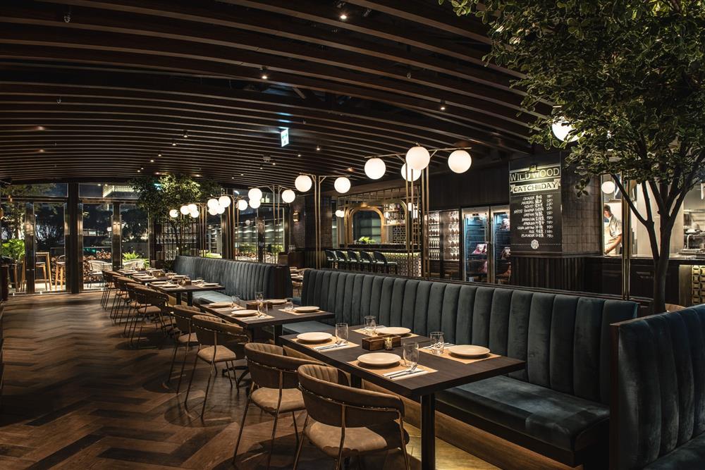 WILDWOOD「南人WAY之夜」_03