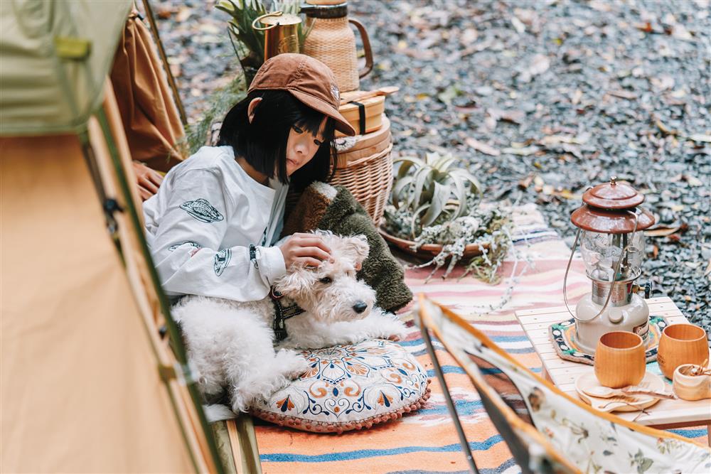 貓派與犬派的設計生活