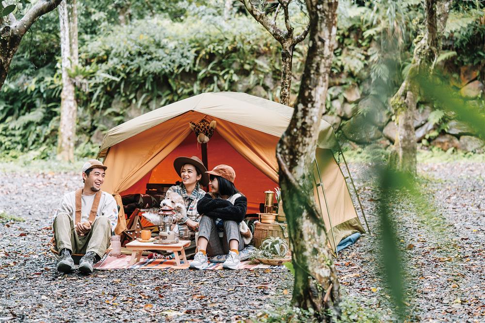 貓派與犬派的設計生活