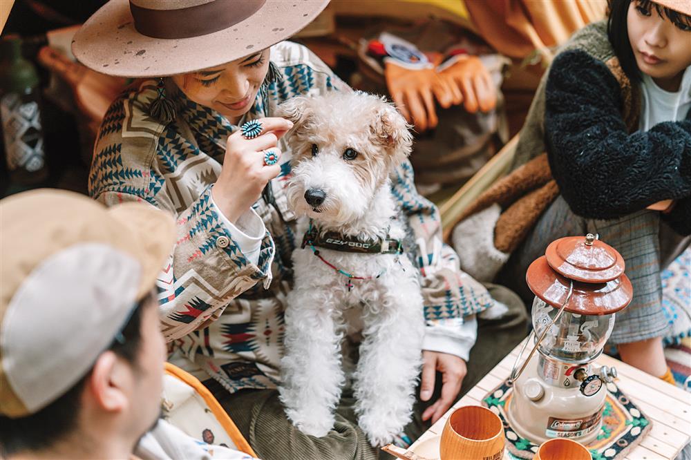 貓派與犬派的設計生活