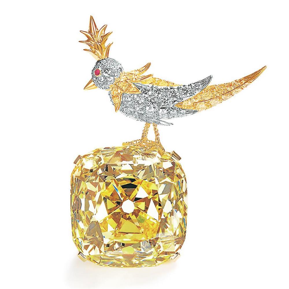 53619834_355785501815112_5493468343197327400_n