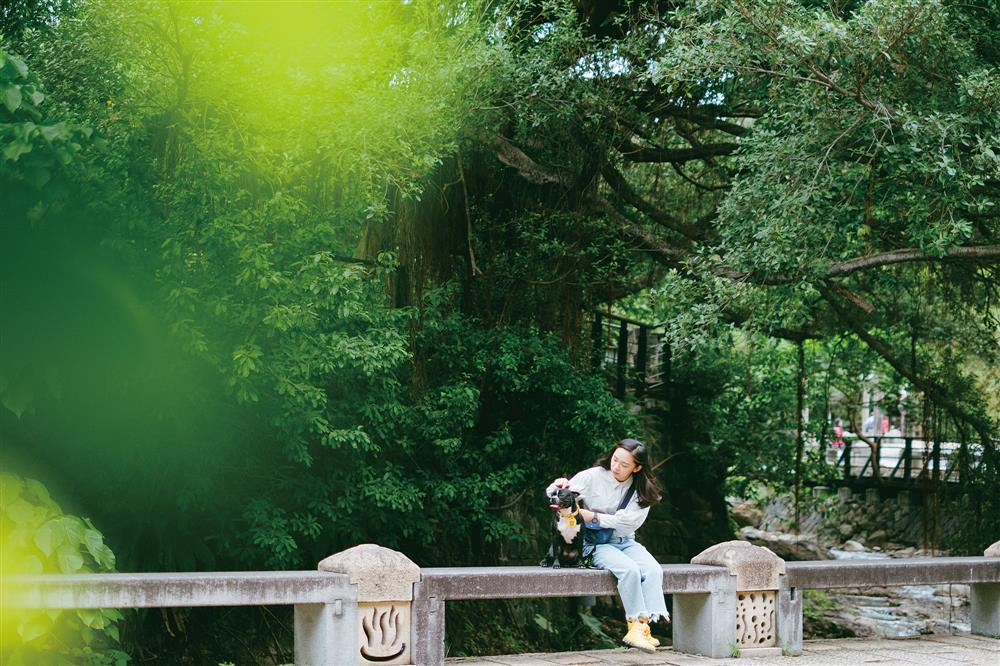 貓派與犬派的設計生活