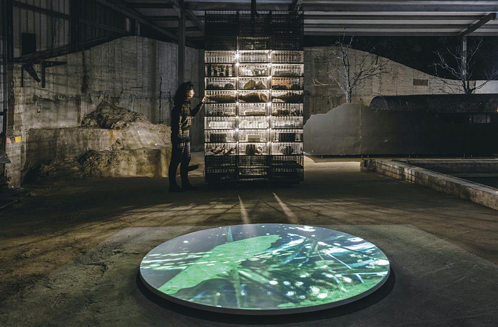 2021 威尼斯建築雙年展_03 2021 威尼斯建築雙年展_03