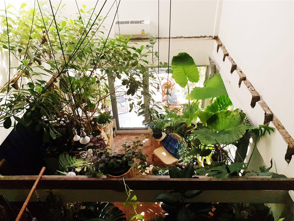 泰國曼谷綠意咖啡廳「TOO CAN CAFÉ」06