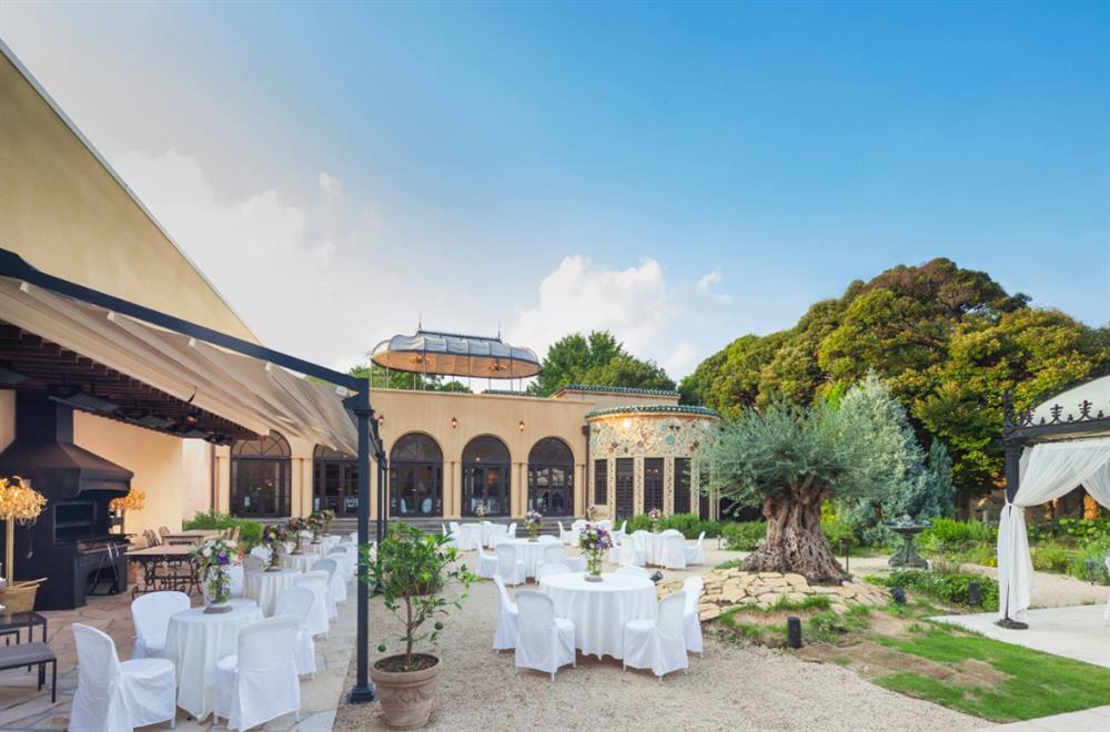 FotoJet (6)_22 FotoJet (6)_22