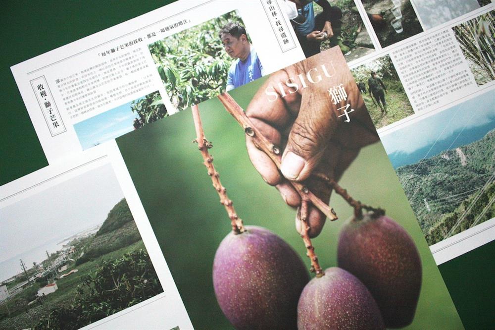 屏東獅子鄉刊「芒芒盛開」7 屏東獅子鄉刊「芒芒盛開」7