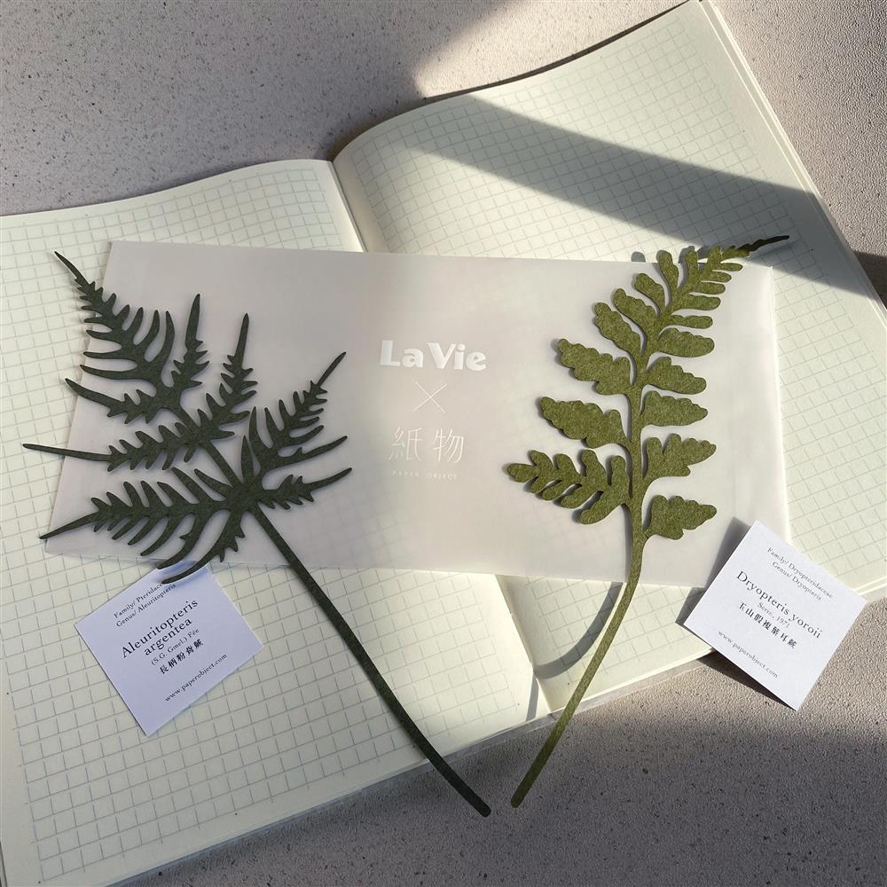 La Vie 7月號《走進山裡找靈感》幕後製作_06