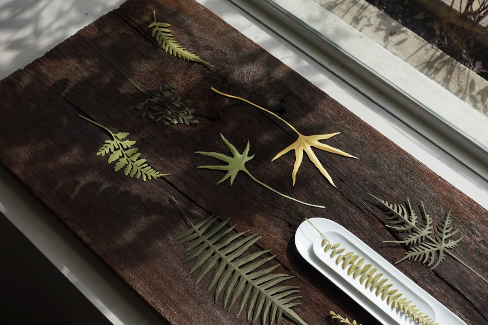 La Vie 7月號《走進山裡找靈感》幕後製作_04