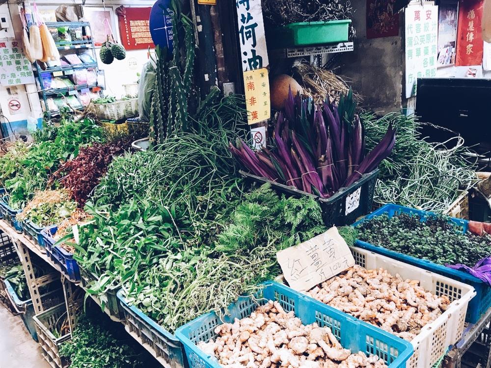 胖胖樹在萬華青草巷發現《被遺忘的拉美》13