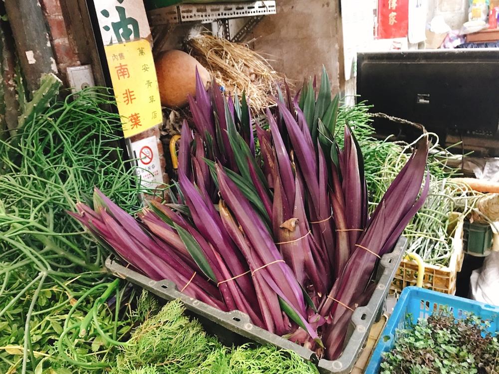 胖胖樹在萬華青草巷發現《被遺忘的拉美》4