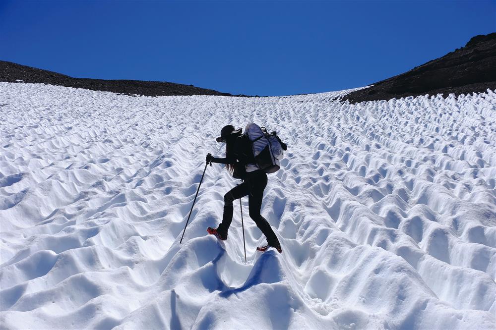 TaiTai Live Wild阿泰呆呆_03