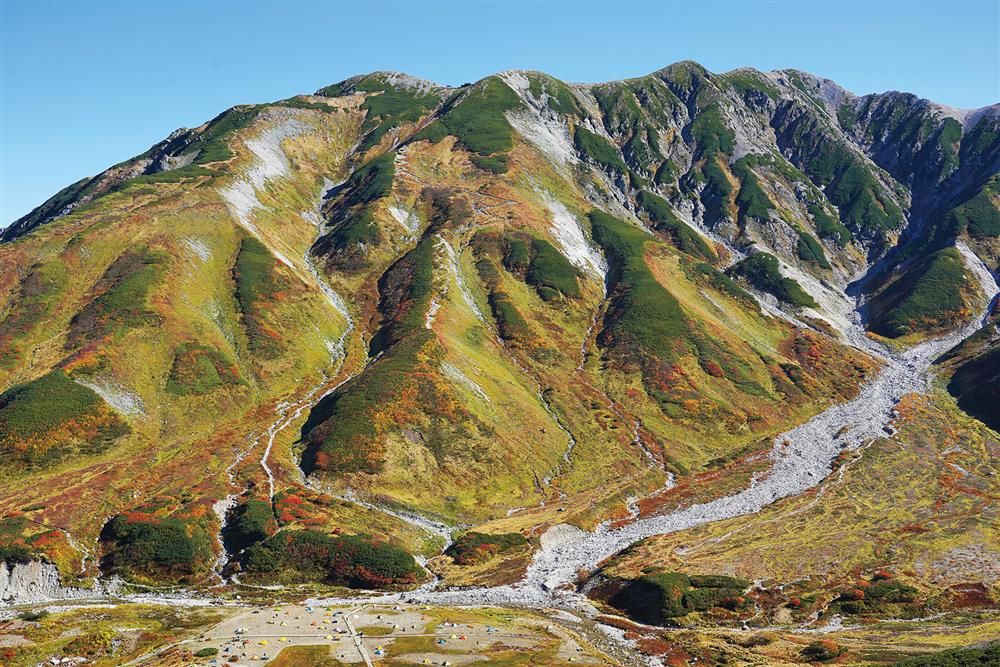 TaiTai Live Wild阿泰呆呆_04