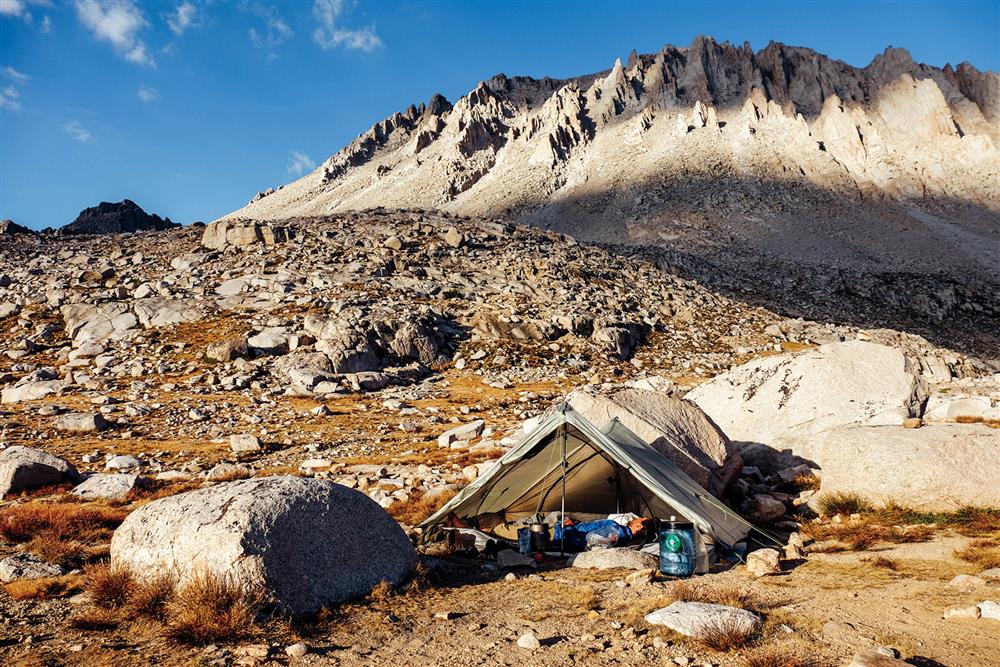 TaiTai Live Wild阿泰呆呆_02