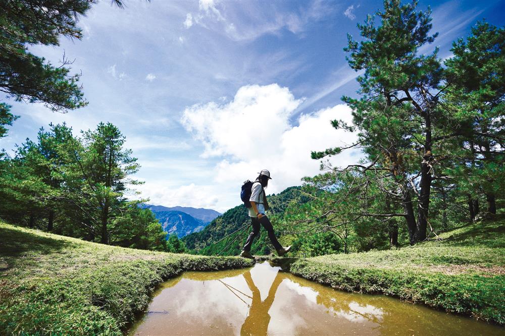 TaiTai Live Wild阿泰呆呆_07