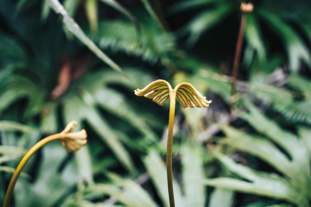 TaiTai Live Wild阿泰呆呆_08