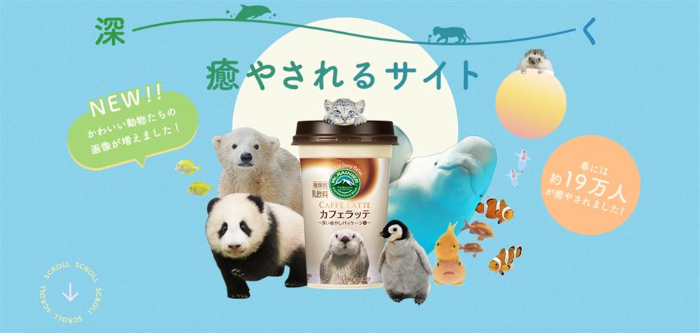 日本Mt.RAINIER讓動物園與水族館的可愛動物躍上咖啡杯身2_103