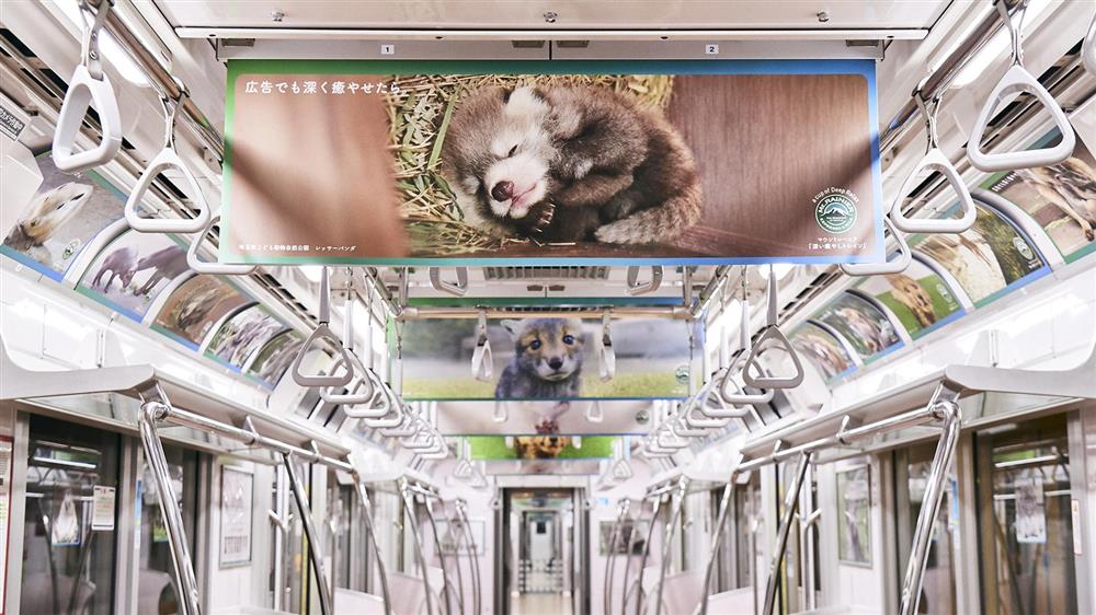 日本Mt.RAINIER讓動物園與水族館的可愛動物躍上咖啡杯身6_19