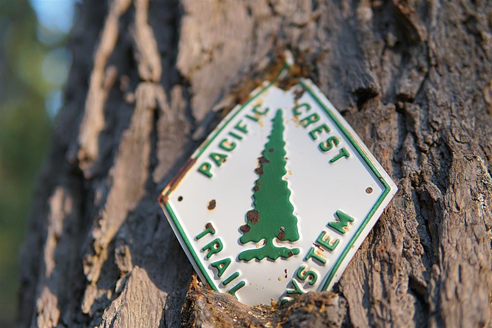 山と道Yamatomichi中村純貴_04