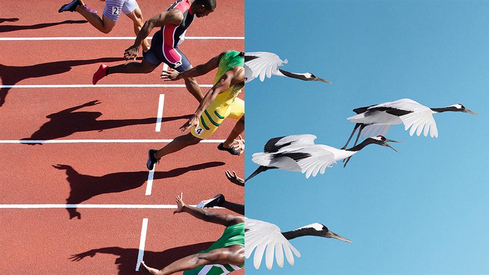 2020東京奧運OMEGA廣告3_33