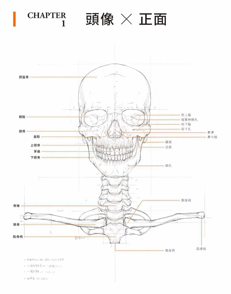 Art anatomy final 20210623_頁面_022_1