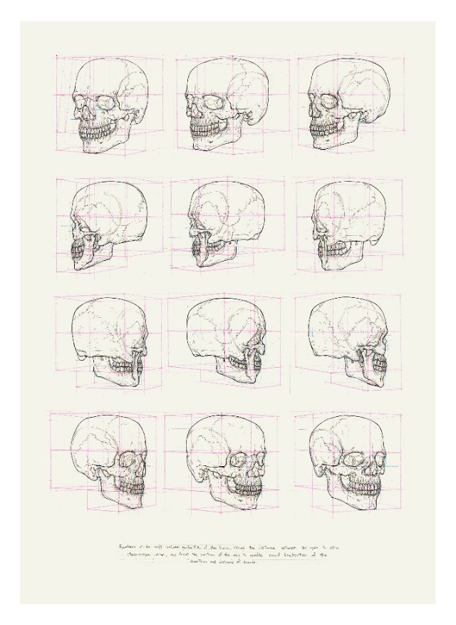 鍾全斌《骨骼之書》1
