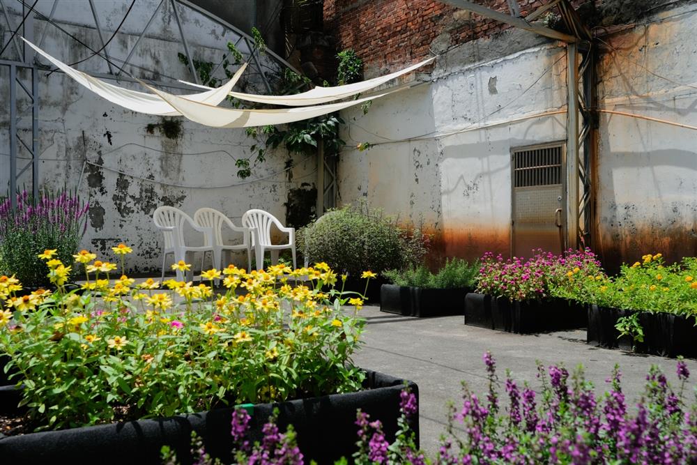 永晝海濱美術館1Z2賴怡璋 正濱花田實驗所『花田實驗場計畫』