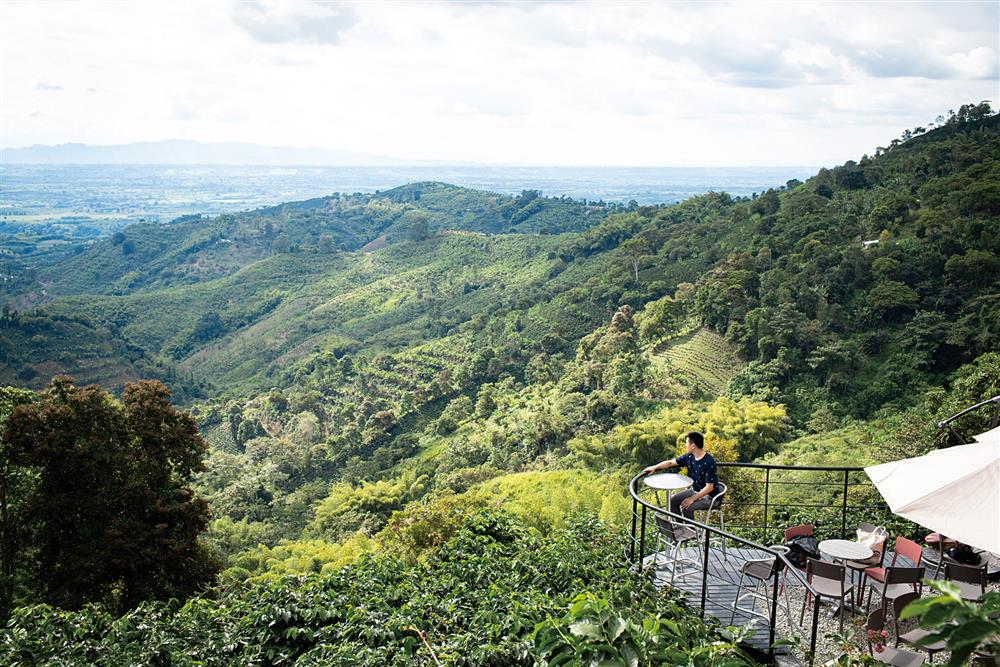 咖啡理想生活_咖啡空少_HallyChen_07