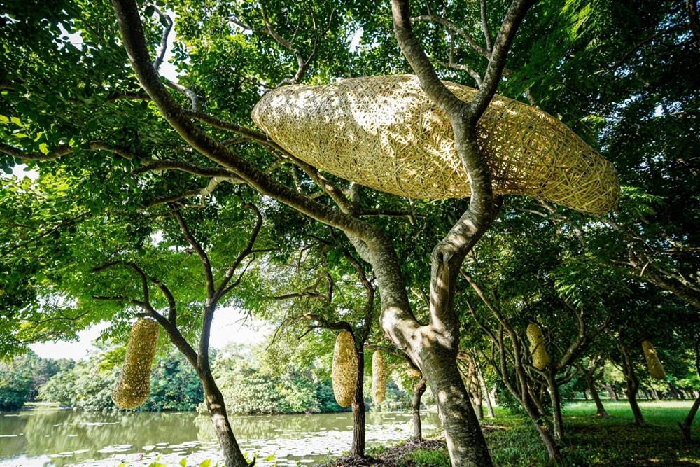 2021台東「縱谷大地藝術季-漂鳥197」 蛻變前的等待 》徐暋盛