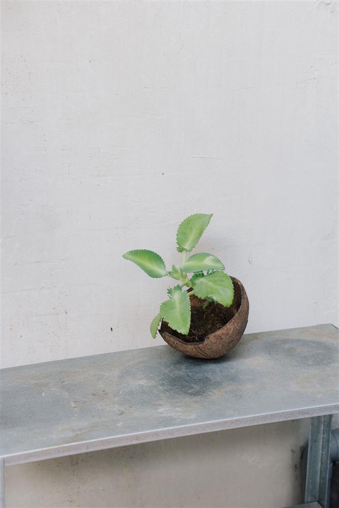 《Art from Home, Love from Us》線上藝術創作展覽暨義賣計畫