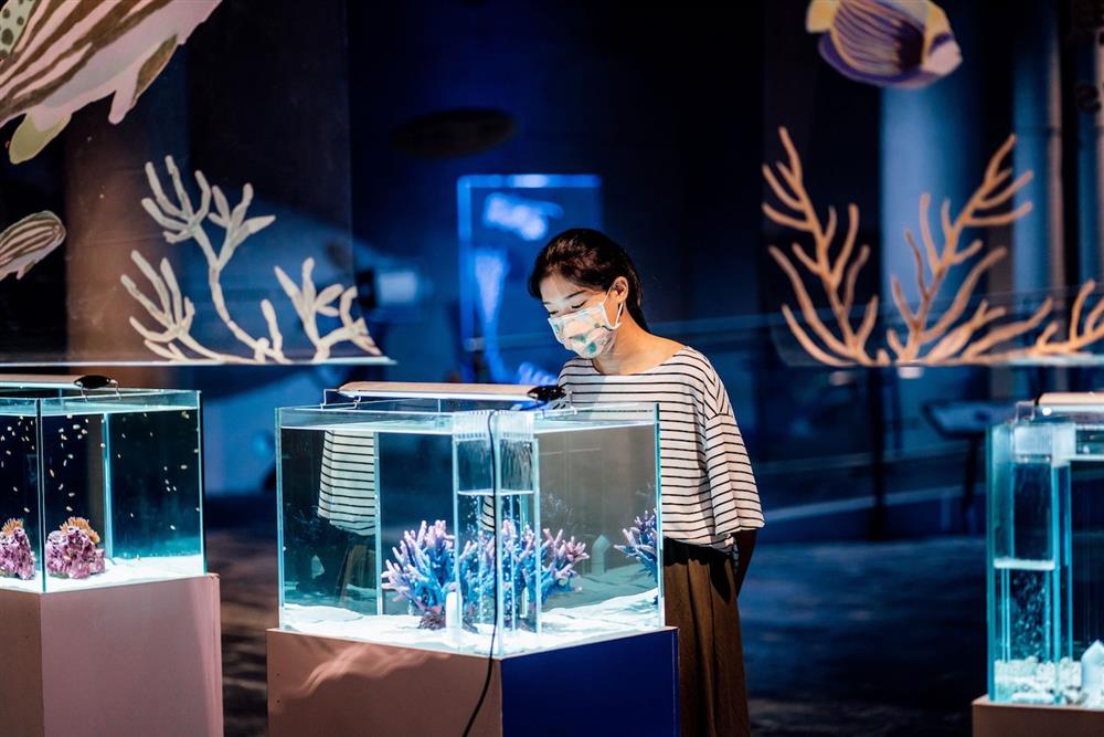 2021屏東海生館「璀璨之海」夏季活動