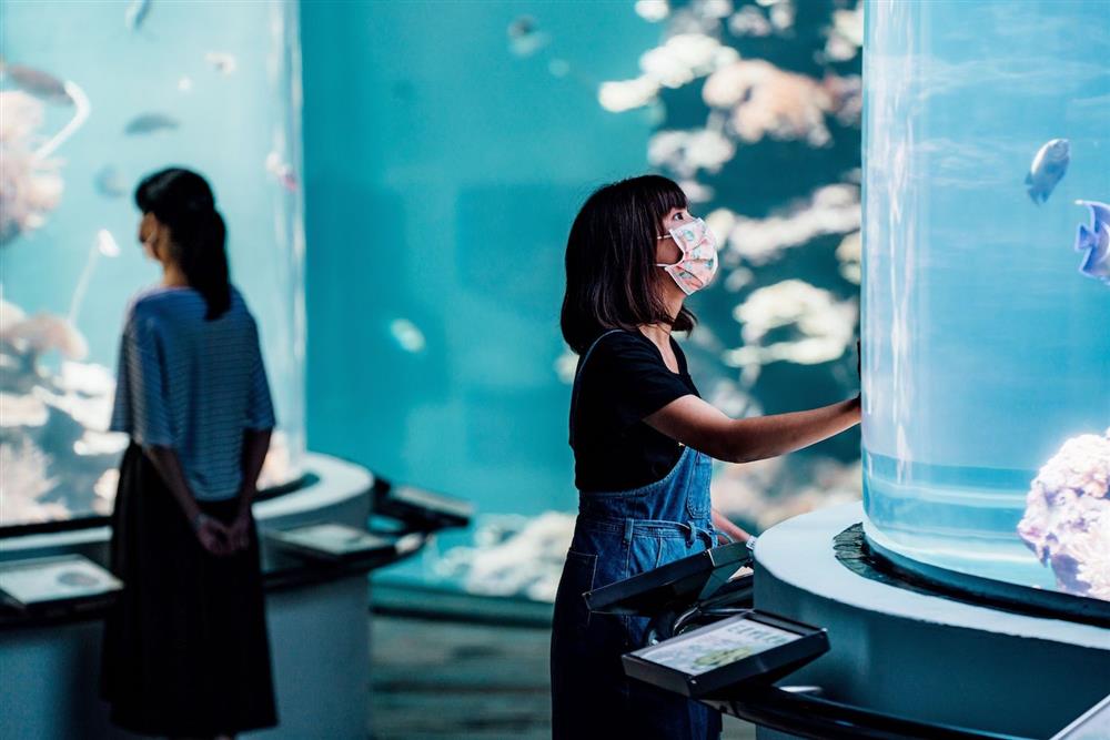 2021屏東海生館「璀璨之海」夏季活動