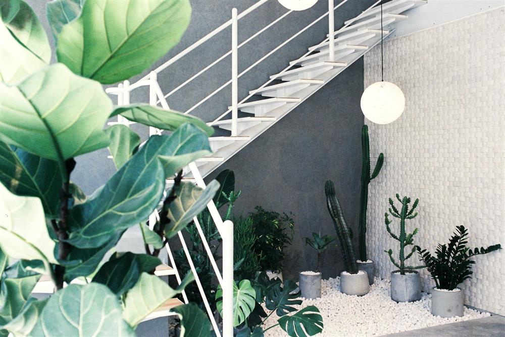 OH DEAR studio用設計打開屏東探柵01