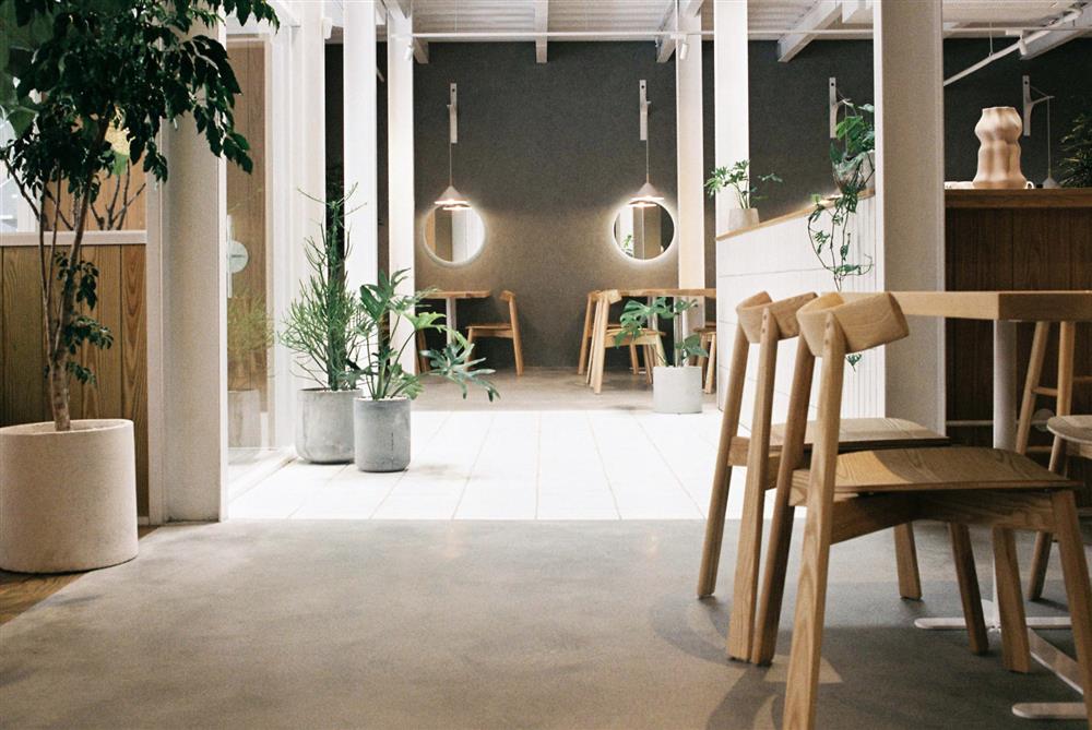 OH DEAR studio用設計打開屏東探柵05