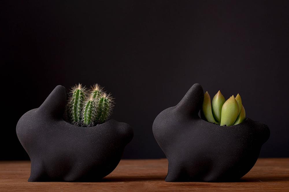 11.中秋墨麗兔多肉植栽