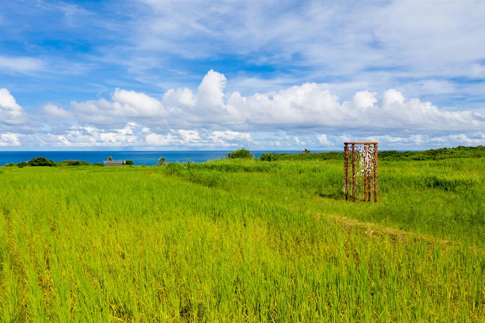 2021花蓮森川里海濕地藝術季!走進豐濱5個部落探尋「好野人」生活況味 2021花蓮森川里海濕地藝術季!走進豐濱5個部落探尋「好野人」生活況味