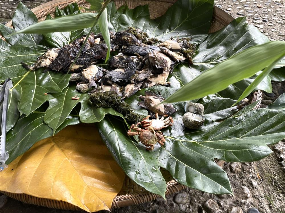 S__36774056 S__36774056