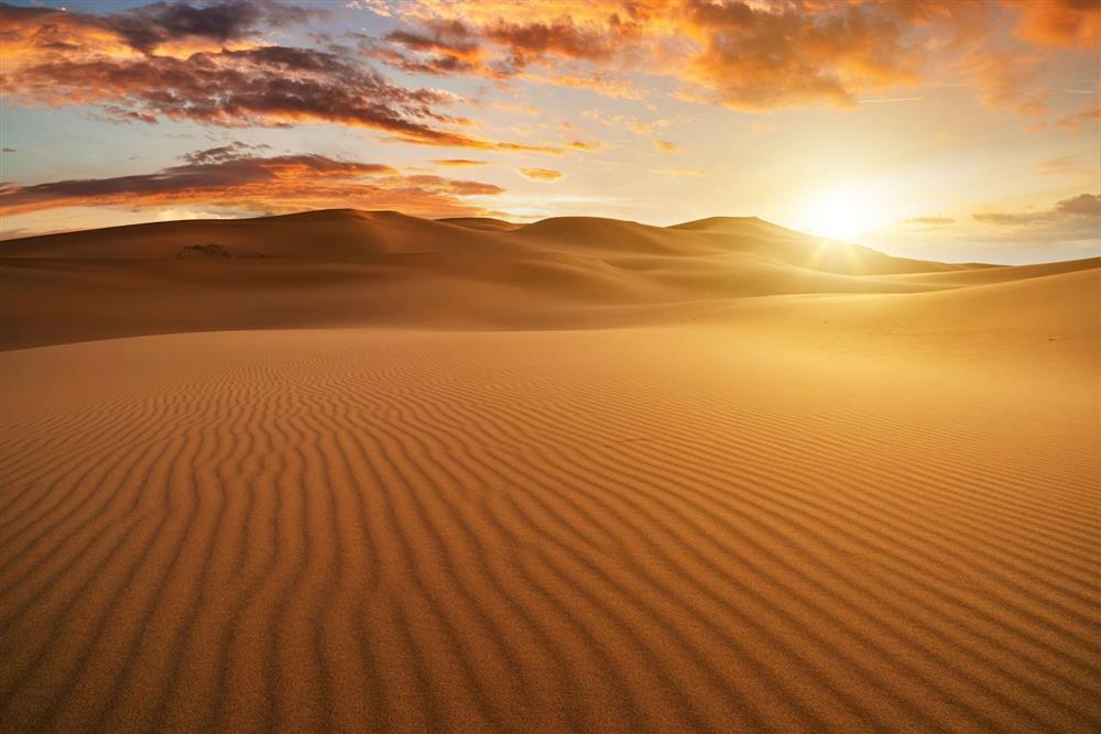 De Beers「Reflections of Nature高級珠寶展」 De Beers「Reflections of Nature高級珠寶展」