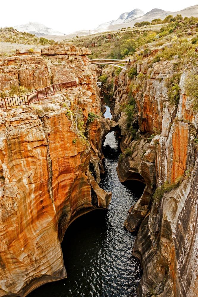 De Beers「Reflections of Nature高級珠寶展」 De Beers「Reflections of Nature高級珠寶展」