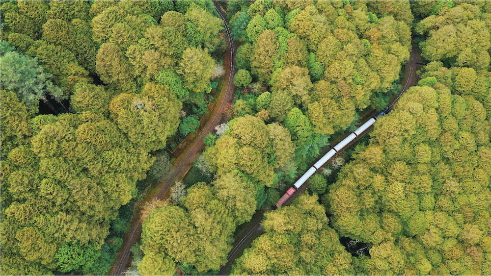 「阿里山林鐵」全新LOGO與形象識別！囍樹以火車紅、森林綠、晨光白為百年鐵道換新裝