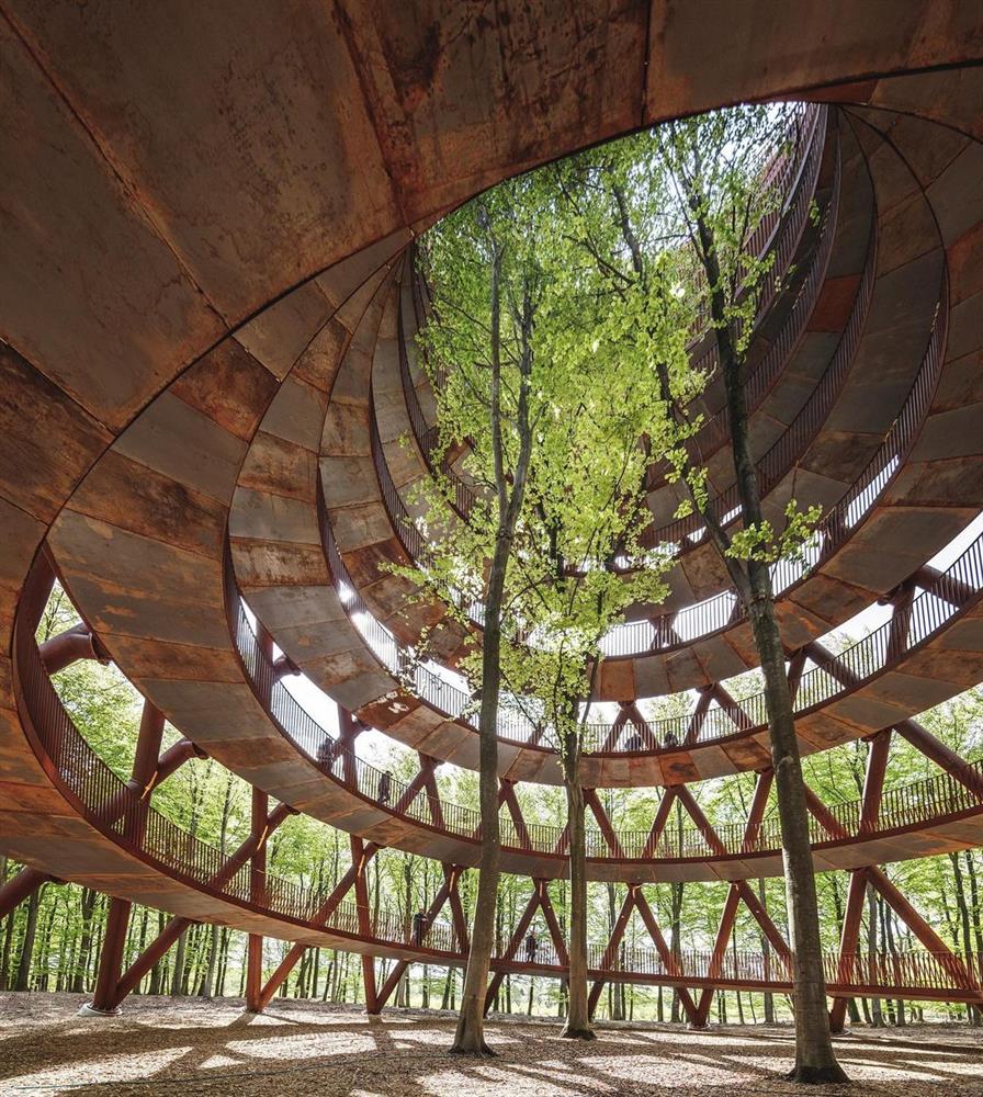 213792537_240926137610015_9038318843586233134_n