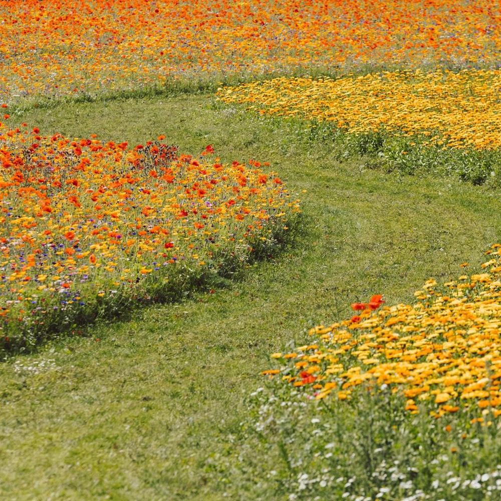 224345741_317301983430961_3531389222490086266_n