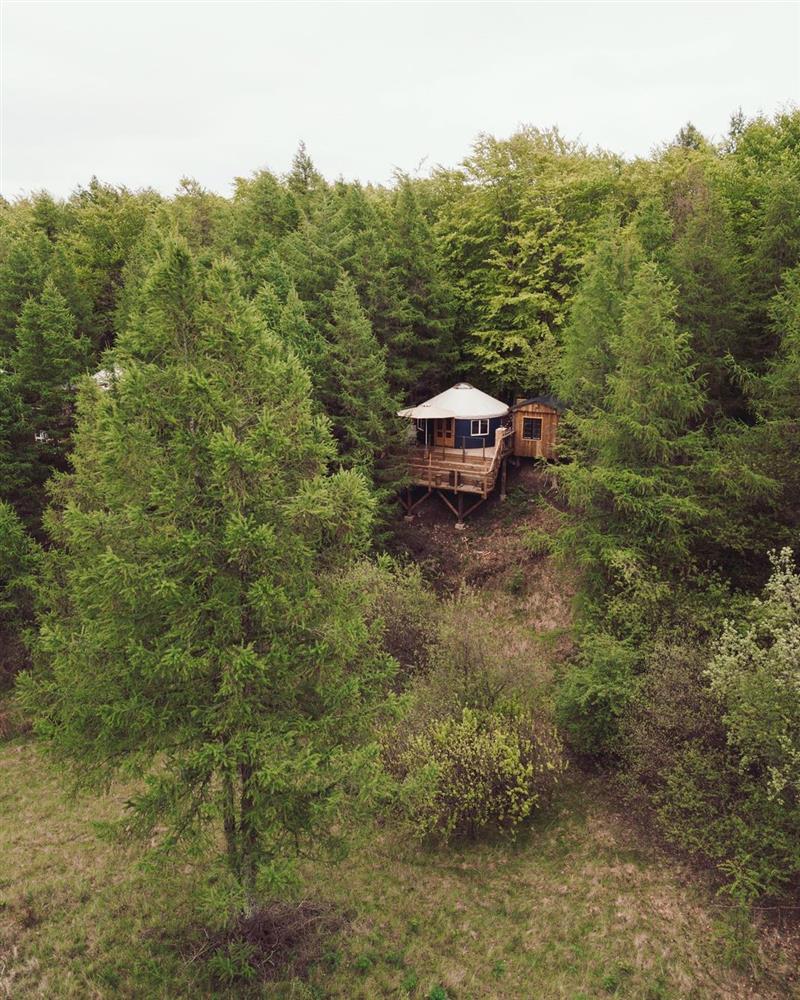 206433631_235000048166730_7865080802103131539_n