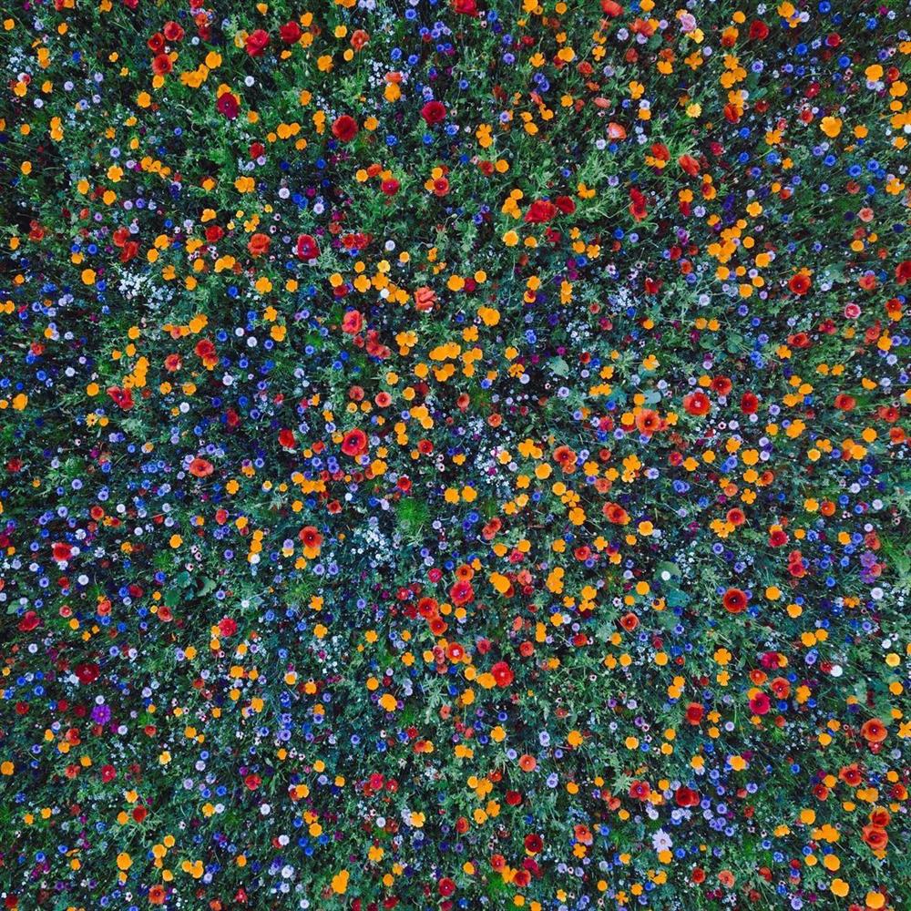 217873098_124317839863365_6434513292693313464_n