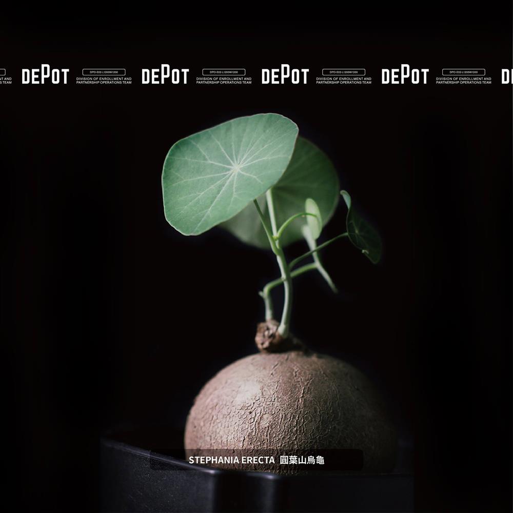 240537264_10159140736805269_8179411787676251256_n 240537264_10159140736805269_8179411787676251256_n