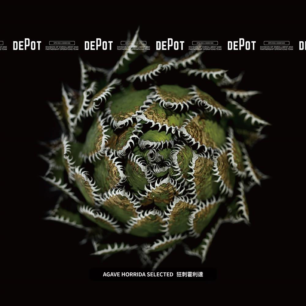 INVINCIBLE新品牌DEPOT「塊跟植物市集」揭幕!80+珍貴物種一次集結 INVINCIBLE新品牌DEPOT「塊跟植物市集」揭幕!80+珍貴物種一次集結