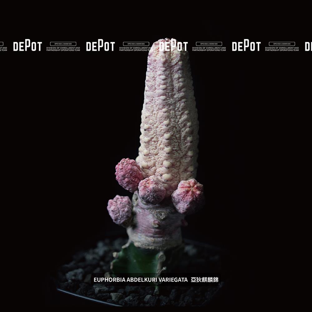 238615392_10159140736610269_7711510068260833179_n 238615392_10159140736610269_7711510068260833179_n